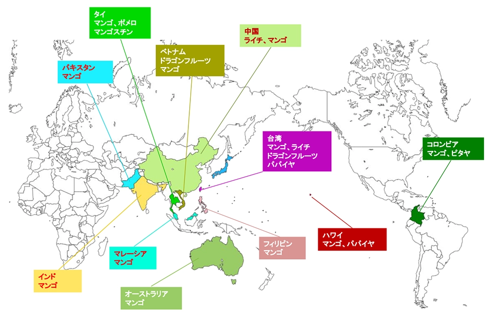 海外の導入事例と青果
